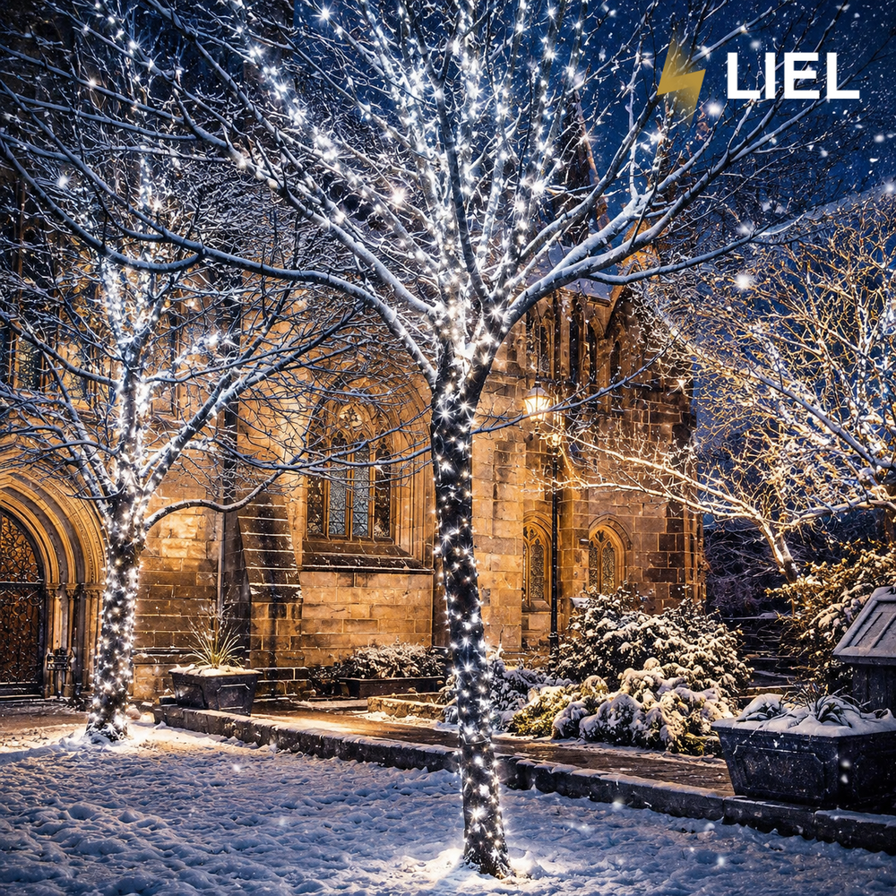 Уличная гирлянда Нитка LIEL 10м Standart холодный белый цвет на черном кабеле, IP44, арт. G067-ST