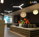 Світлодіодний підвісний лінійний світильник з LED профілю Y-подібний LIEL 1200x40х43.6мм 12V Premium. арт L002