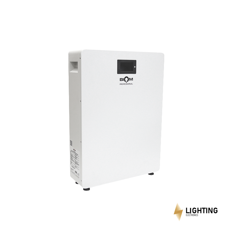 Акумуляторна батарея Biom Professional LifePO4 51.2V 100A 5kW