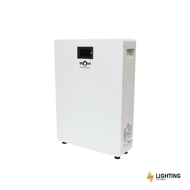 Акумуляторна батарея Biom Professional LifePO4 51.2V 100A 5kW
