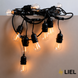 Вулична ретро гірлянда лампочки Belt Light LIEL Standart + 25м/50 патронів, чорний кабель, IP65, арт. 07487