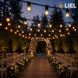 Уличная ретро-гирлянда лампочки Belt Light LIEL Premium Ultra 1 патрон на метр на черном кабеле IP67, арт. BL1-65-1